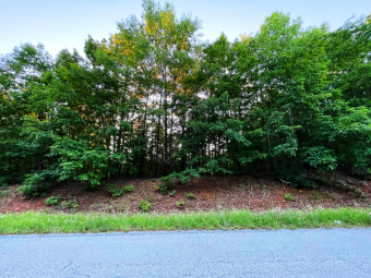 Nice secluded lot location with lake-access nearby at the - Lake Acreage For Sale in Gretna, Virginia