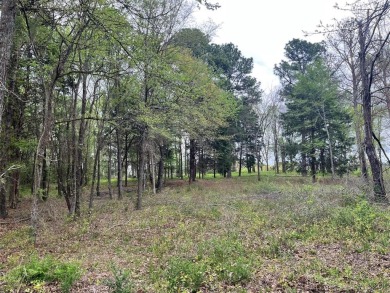 Lake Lot For Sale in Athens, Texas