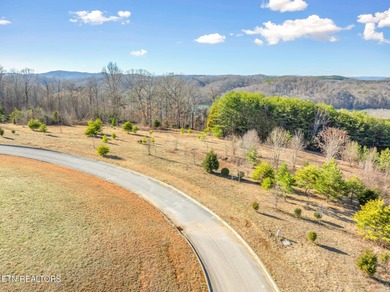 Build your dream home in the beautiful serene East Tennessee at - photo 15