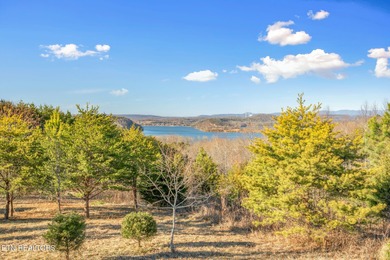 Build your dream home in the beautiful serene East Tennessee at - photo 23