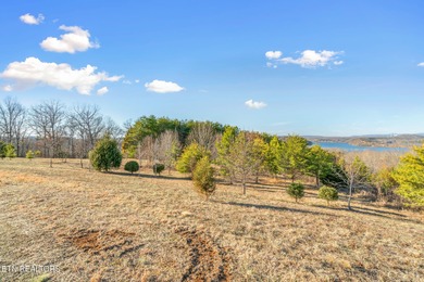 Build your dream home in the beautiful serene East Tennessee at - photo 24