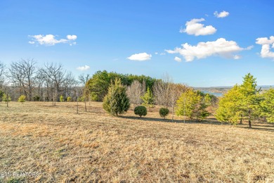 Build your dream home in the beautiful serene East Tennessee at - photo 25