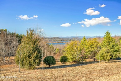 Build your dream home in the beautiful serene East Tennessee at - photo 26