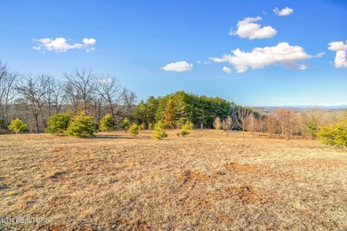 Build your dream home in the beautiful serene East Tennessee at - photo 27