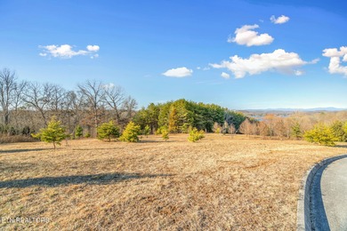 Build your dream home in the beautiful serene East Tennessee at - photo 28