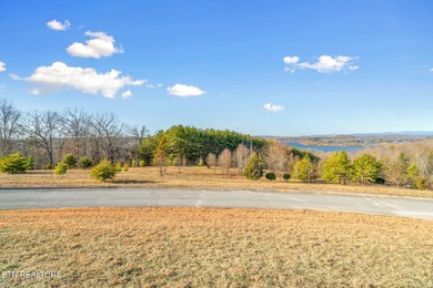 Build your dream home in the beautiful serene East Tennessee at - photo 31