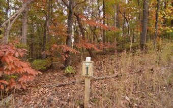 Beautiful gentle wooded home site. Public water, power, and - Lake Lot For Sale in Blairsville, Georgia
