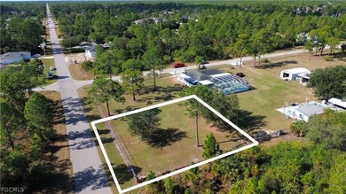 Lake Lot For Sale in Lehigh Acres, Florida