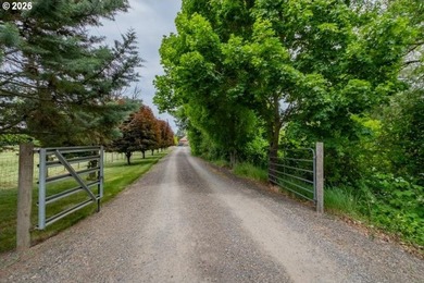 Gorgeous custom 4bed/3bath + office home on 5.63 acres. Back - photo 2