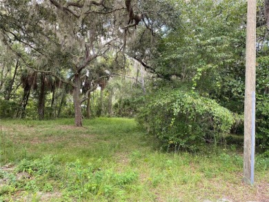 Lake Panasoffkee Lot For Sale in Lake Panasoffkee Florida