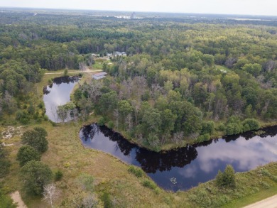 (private lake, pond, creek) Acreage For Sale in Necedah Wisconsin