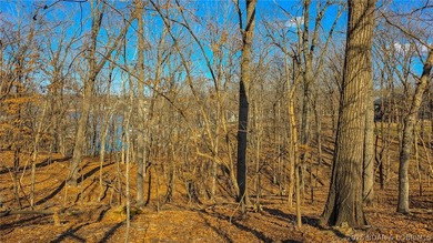 Discover the perfect setting for your dream home in the - photo 7