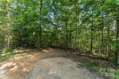 Discover your perfect canvas in the gated community of Hidden - photo 4