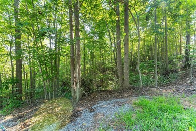 Discover your perfect canvas in the gated community of Hidden - photo 5
