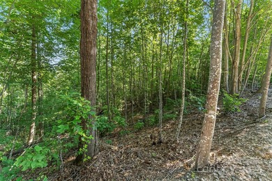 Discover your perfect canvas in the gated community of Hidden - photo 6