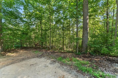 Discover your perfect canvas in the gated community of Hidden - photo 8