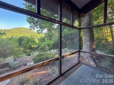 In 1971, this house was FABULOUS - and Tryon was historic. This - photo 9