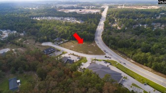 Lake Columbia / Lake Windermere Commercial For Sale in Columbia South Carolina