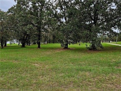 Lake Lot For Sale in Hackett, Arkansas