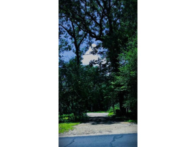 Holly Lake Ranch / Holly Lake Lot For Sale in Holly Lake Ranch Texas