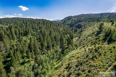 Set beneath the towering Big Hole Mountains, this 292-acre - photo 12