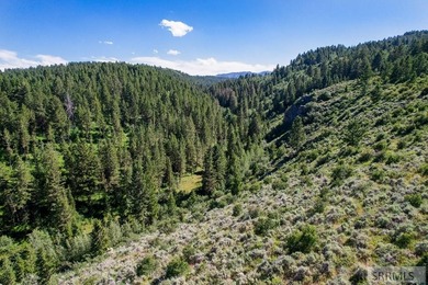 Set beneath the towering Big Hole Mountains, this 292-acre - photo 13