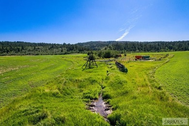 Set beneath the towering Big Hole Mountains, this 292-acre - photo 17