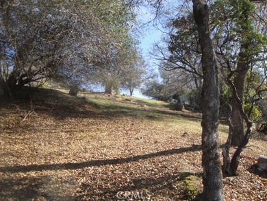 GREAT VIEWS! Beautiful Lot on Prime Street in Kelly Ridge - photo 8