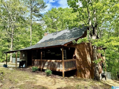 Lake Home For Sale in Wedowee, Alabama