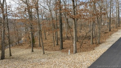 Check out this lakeview lot located in a desirable community - photo 5