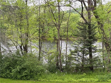 Country living on the river! This 3-bedroom, 2-bathroom ranch - photo 2