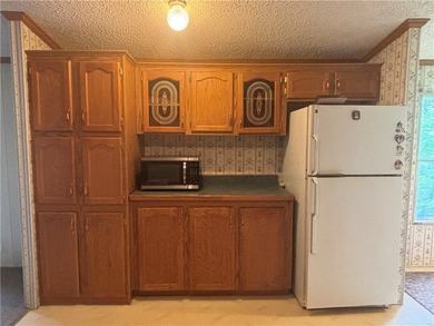 Country living on the river! This 3-bedroom, 2-bathroom ranch - photo 5