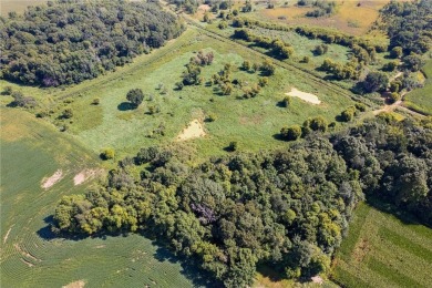 Lake Acreage For Sale in Lexington Twp, Minnesota