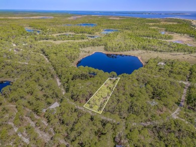 Lake Lot For Sale in Alligator Point, Florida