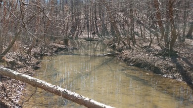 Affordable lake lot with a platform dock in place! Almost 1/2 - photo 2