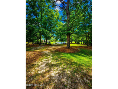 ### MLS Marketing Description **Waterfront Lot with Private Dock - photo 3