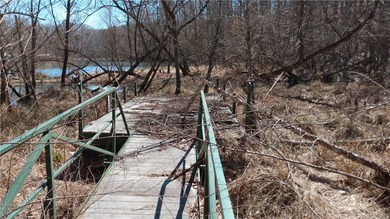 Affordable lake lot with a platform dock in place! Almost 1/2 - photo 3