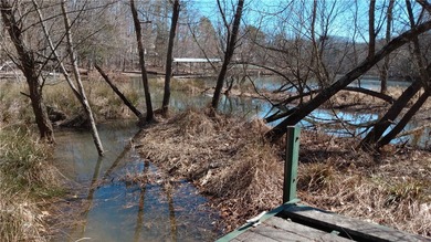 Affordable lake lot with a platform dock in place! Almost 1/2 - photo 4