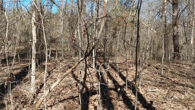 Affordable lake lot with a platform dock in place! Almost 1/2 - photo 5