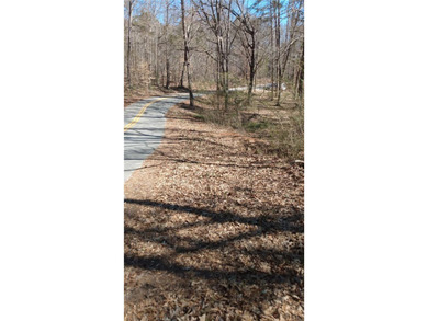 Affordable lake lot with a platform dock in place! Almost 1/2 - photo 7