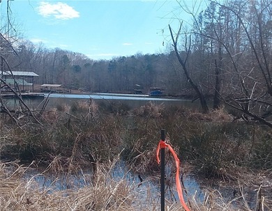 Affordable lake lot with a platform dock in place! Almost 1/2 - photo 8
