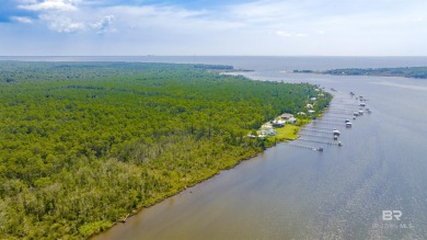 (private lake, pond, coastal) Acreage For Sale in Foley Alabama