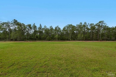 MOVE-IN READY NEW CONSTRUCTION ON 0.5 ACRES! // The *OSCEOLA* - photo 49