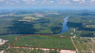 Suwannee River - Gilchrest County Acreage For Sale in Bell Florida