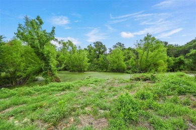 Lake Lot For Sale in Gordonville, Texas