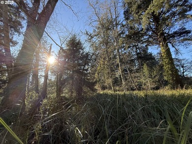 Discover the potential of these prime vacant lots located in - photo 2