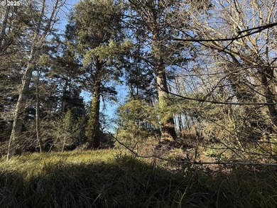 Discover the potential of these prime vacant lots located in - photo 5