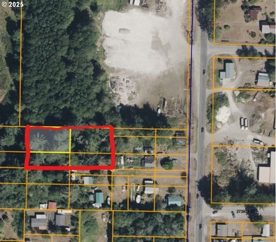 Discover the potential of these prime vacant lots located in - photo 6