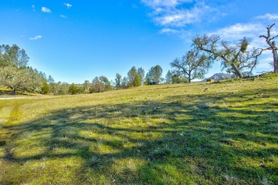 The Cantinas Ranch spans 587 acres of untouched California - photo 13