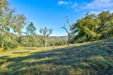 The Cantinas Ranch spans 587 acres of untouched California - photo 14